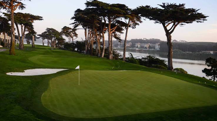 TPC Harding Park golf course
