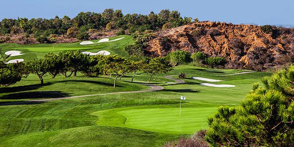 Vineyard at Escondido golf course